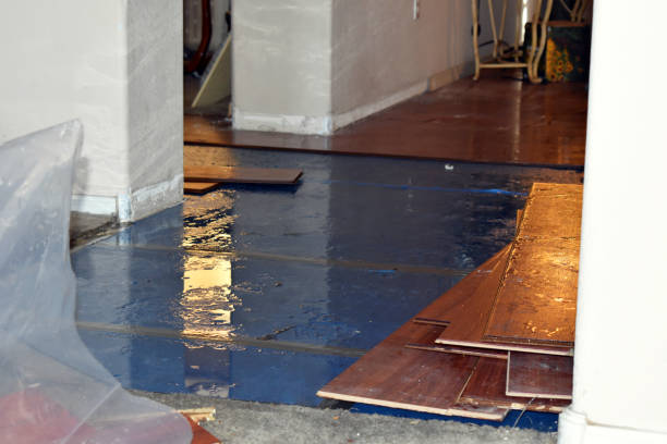 Professional Basement Flood Cleanup technician working in Mount Olive, NC