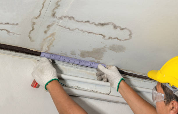 Reliable Basement Flood Cleanup contractor in Mount Olive, NC by Aqua Guard Water Damage